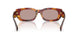 22A20I - Tortoise - Light Purple Brown