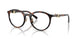 8015 - Tortoise