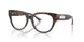 5002 - Tortoise