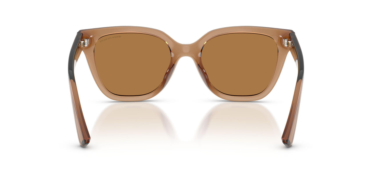 839673 - Brown - Bronze