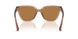 839673 - Brown - Bronze