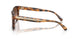 608913 - Tortoise - Gradient Brown