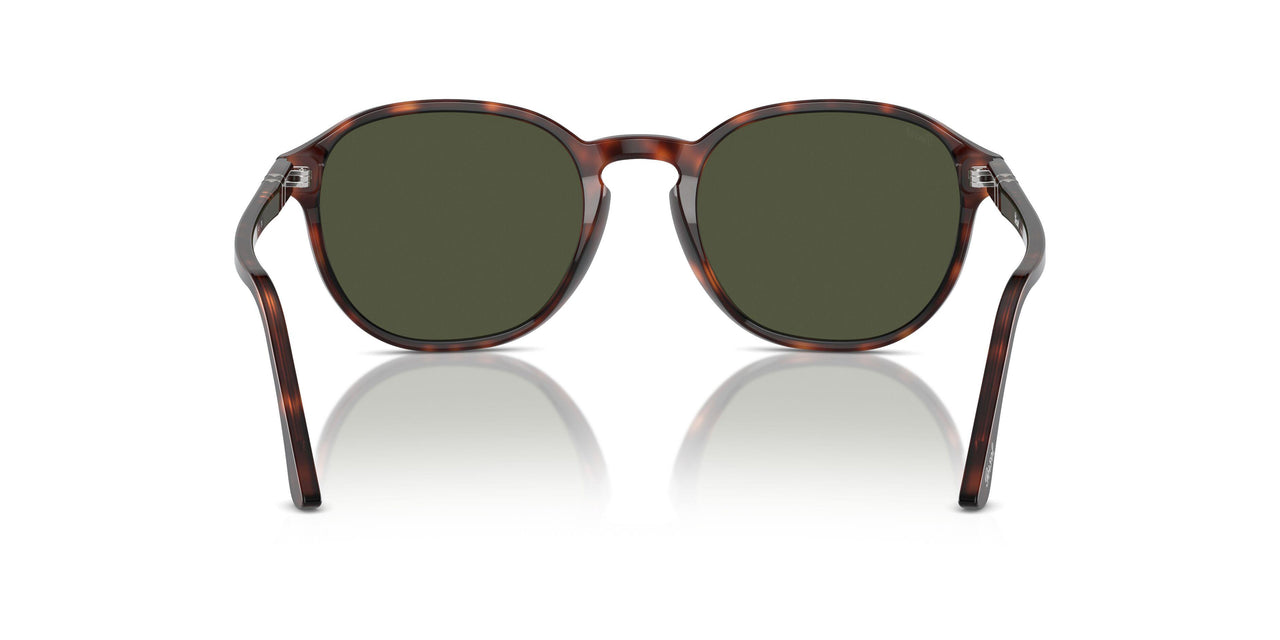 24/31 - Tortoise - Green