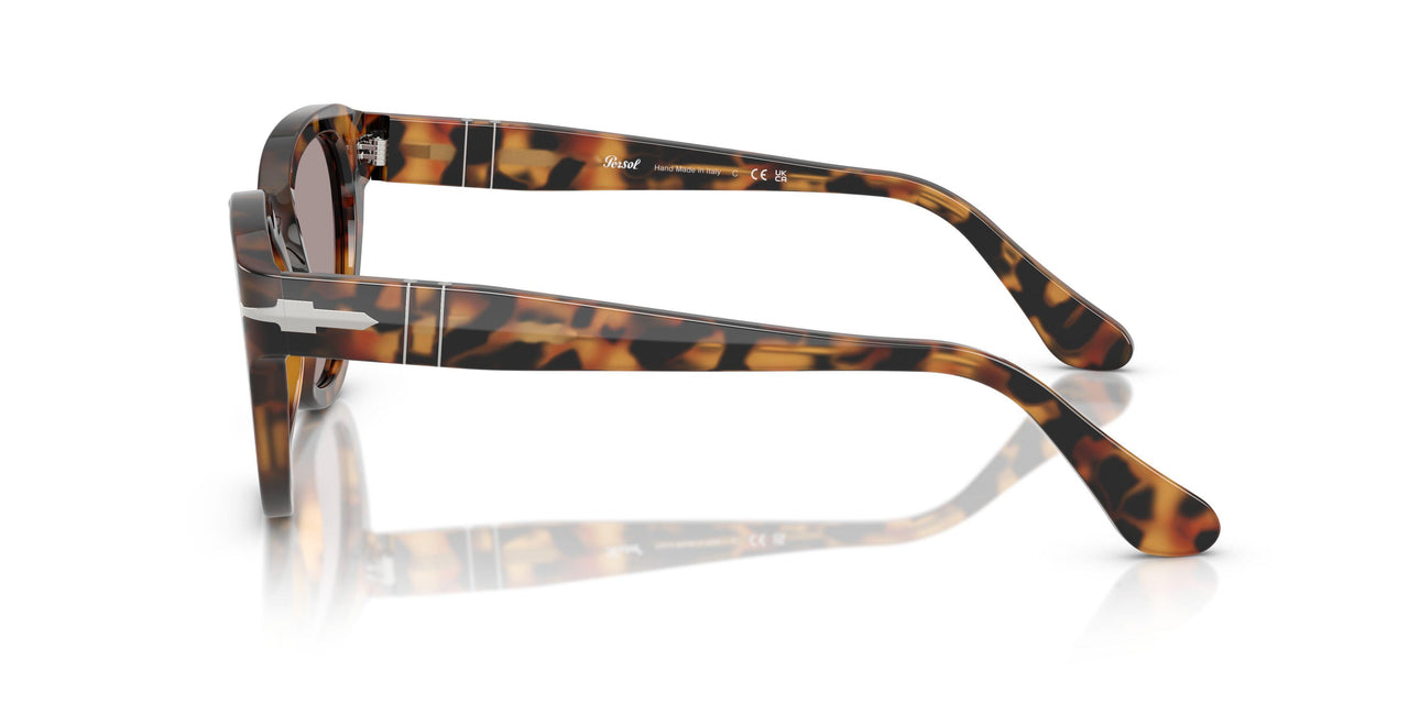 105253 - Tortoise - Violet