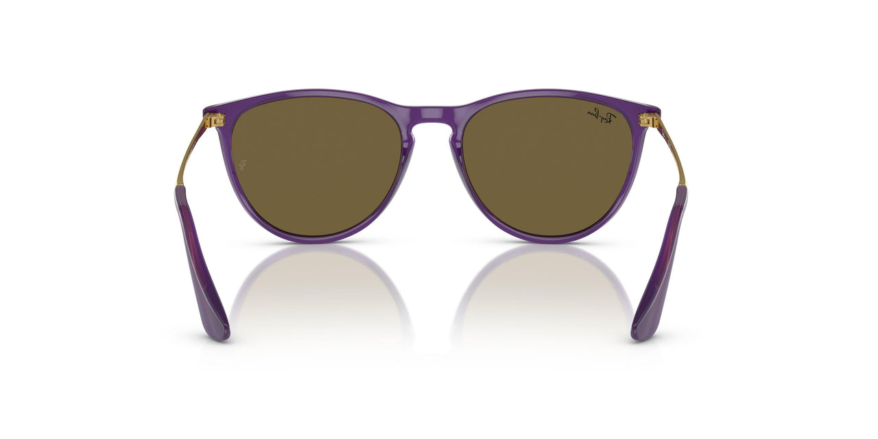 713173 - Violet - Dark Brown