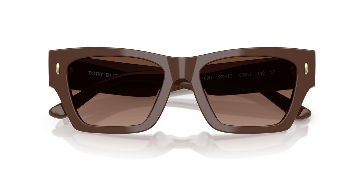 1973T5 - Brown - Brown Gradient Polar