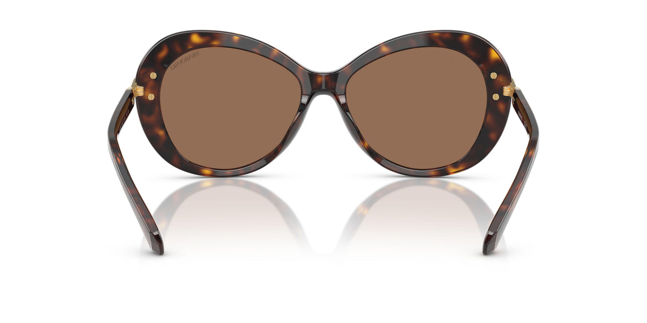 100273 - Tortoise - Dark Brown