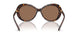 100273 - Tortoise - Dark Brown