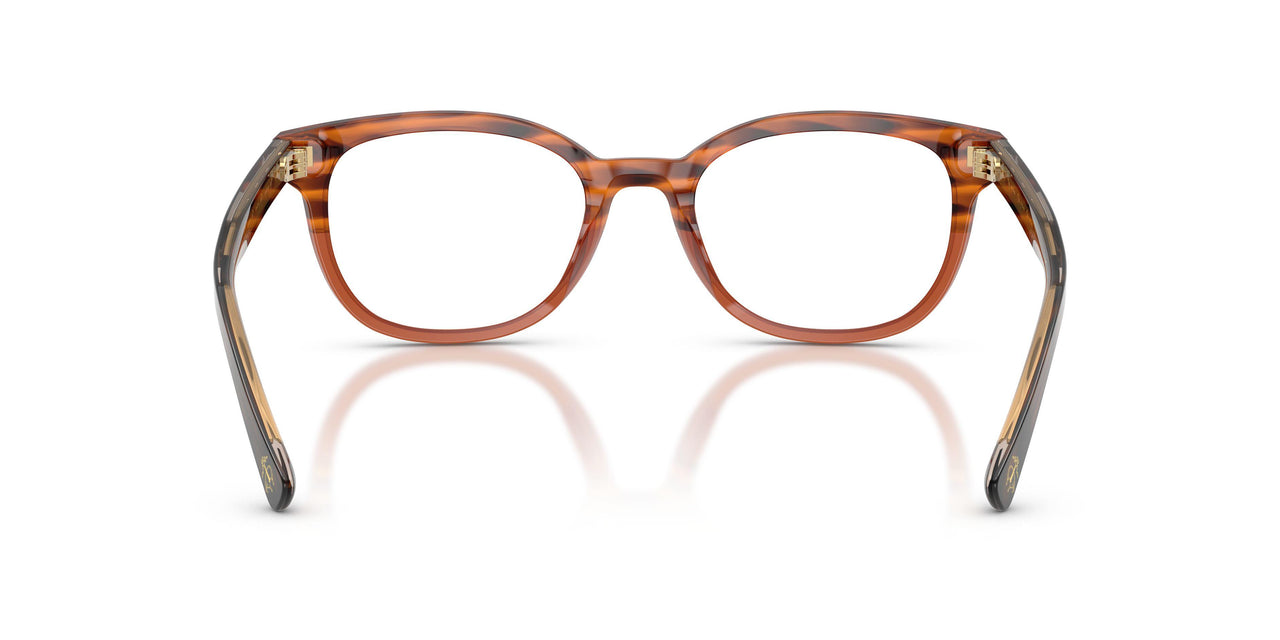 6175 - Brown