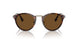 24/57 - Havana - Polar Brown