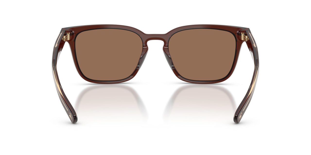 617273 - Red - Solid Brown
