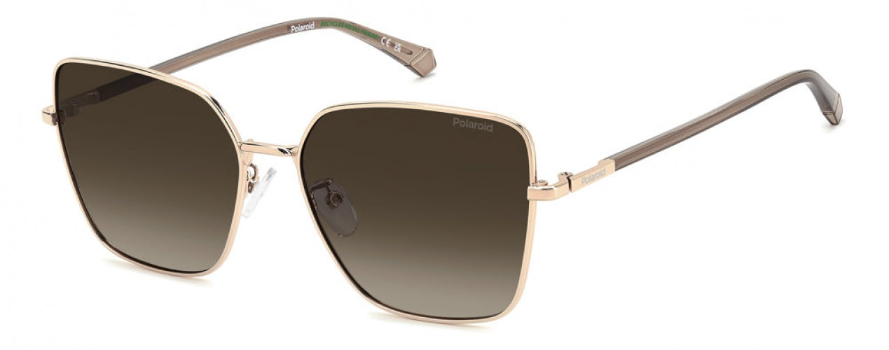 DDBLA-LA - GOLD COPP