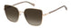 DDBLA-LA - GOLD COPP