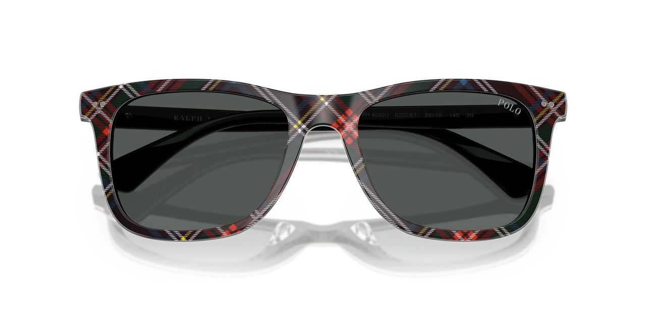 620287 - Multicolor - Dark Grey