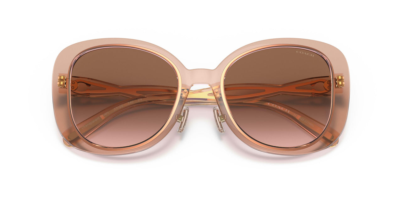 568013 - Pink - Brown Pink Gradient
