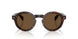 300273 - Tortoise - Solid Brown