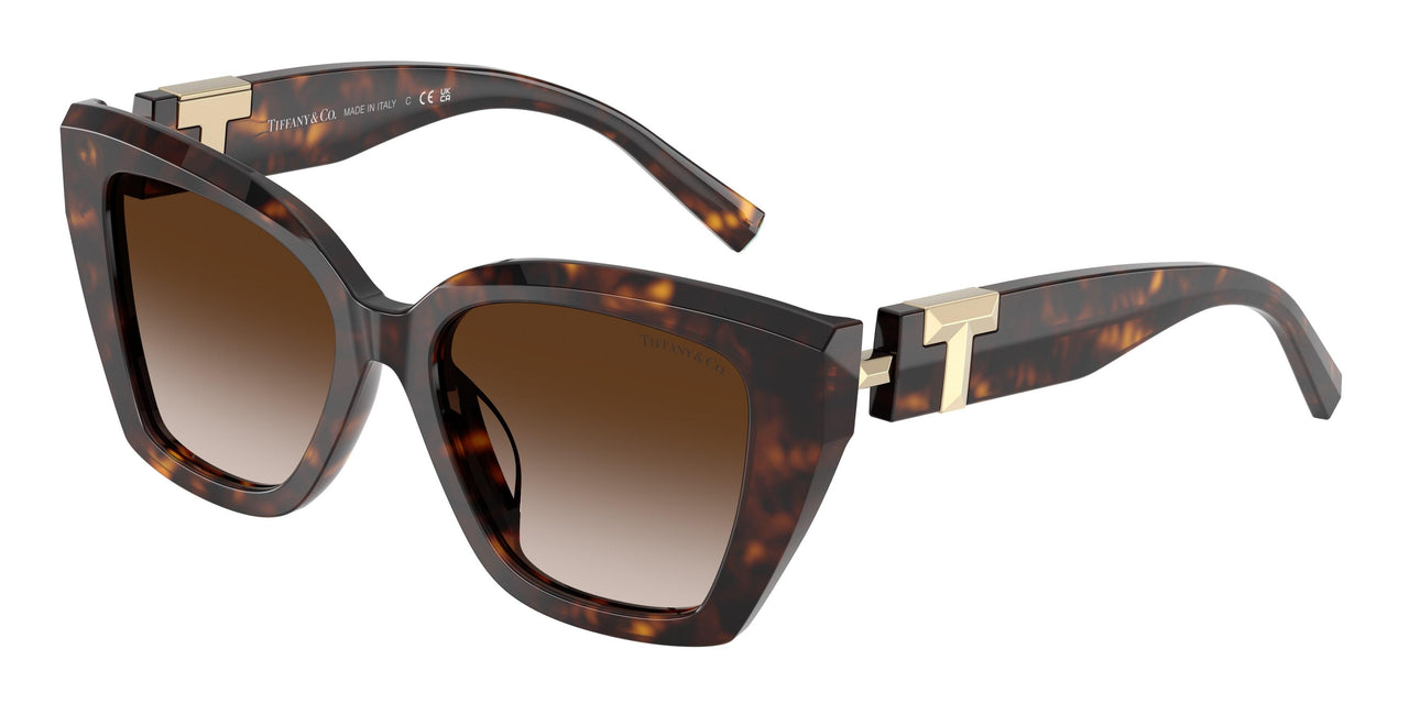 80153B - Tortoise - Brown Gradient