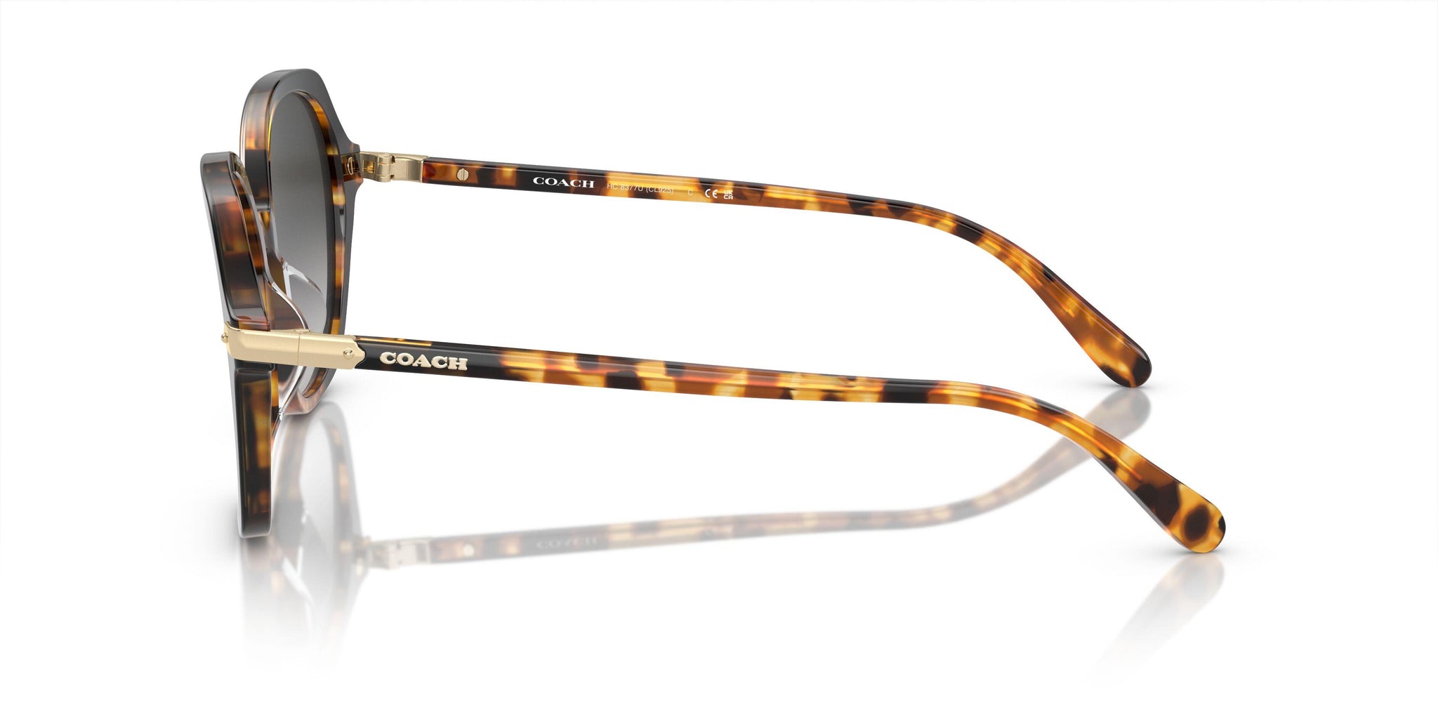 Coach Cl928 8377U Sunglasses display picture 2
