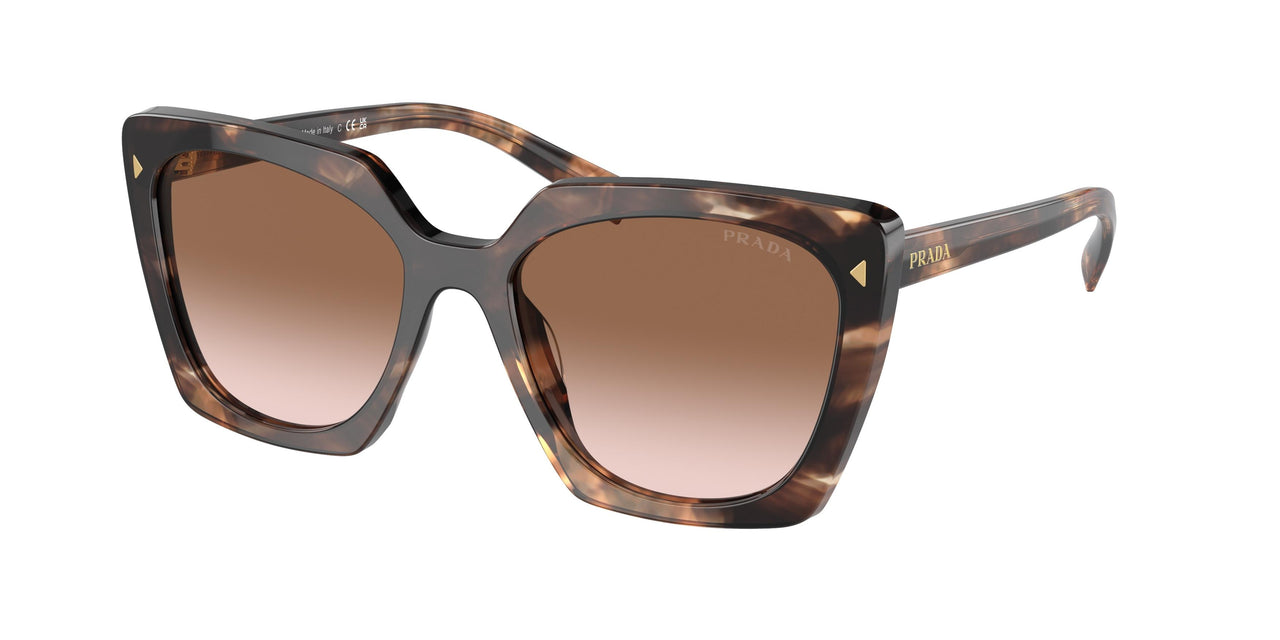 07R0A6 - Tortoise - Brown Gradient