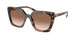 07R0A6 - Tortoise - Brown Gradient