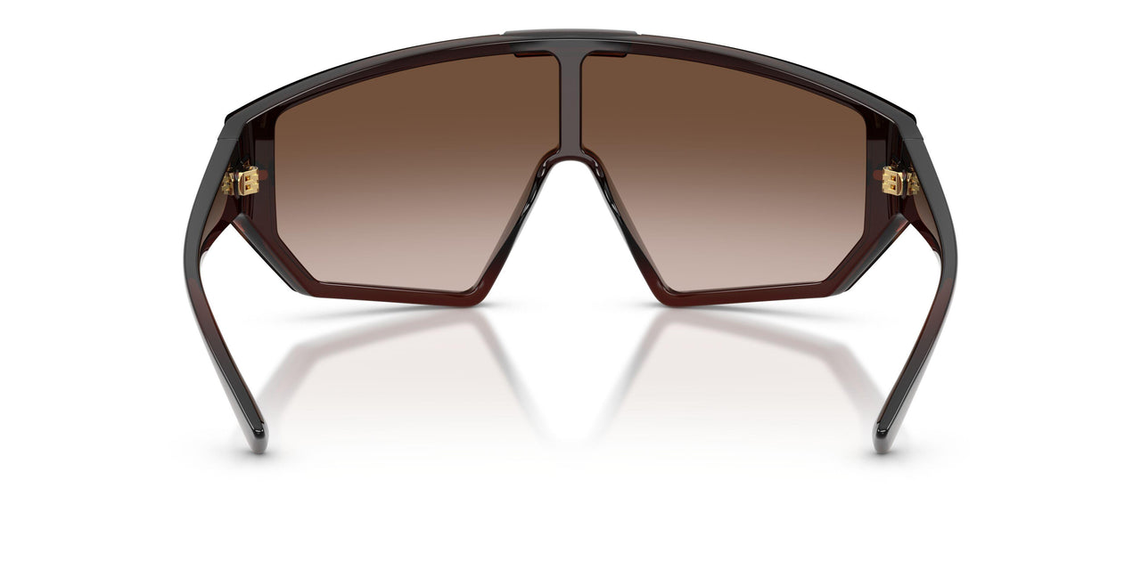 533213 - Brown - Brown Gradient