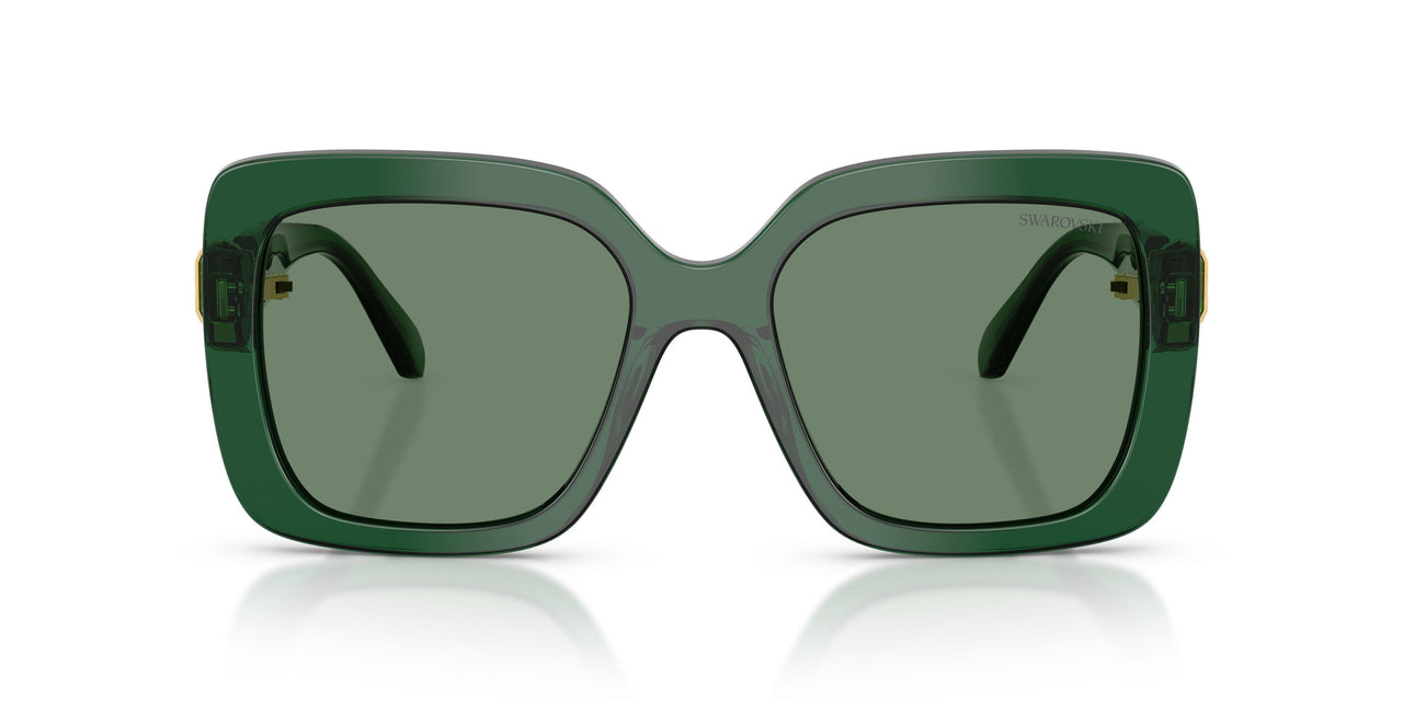 104587 - Green - Transition Green