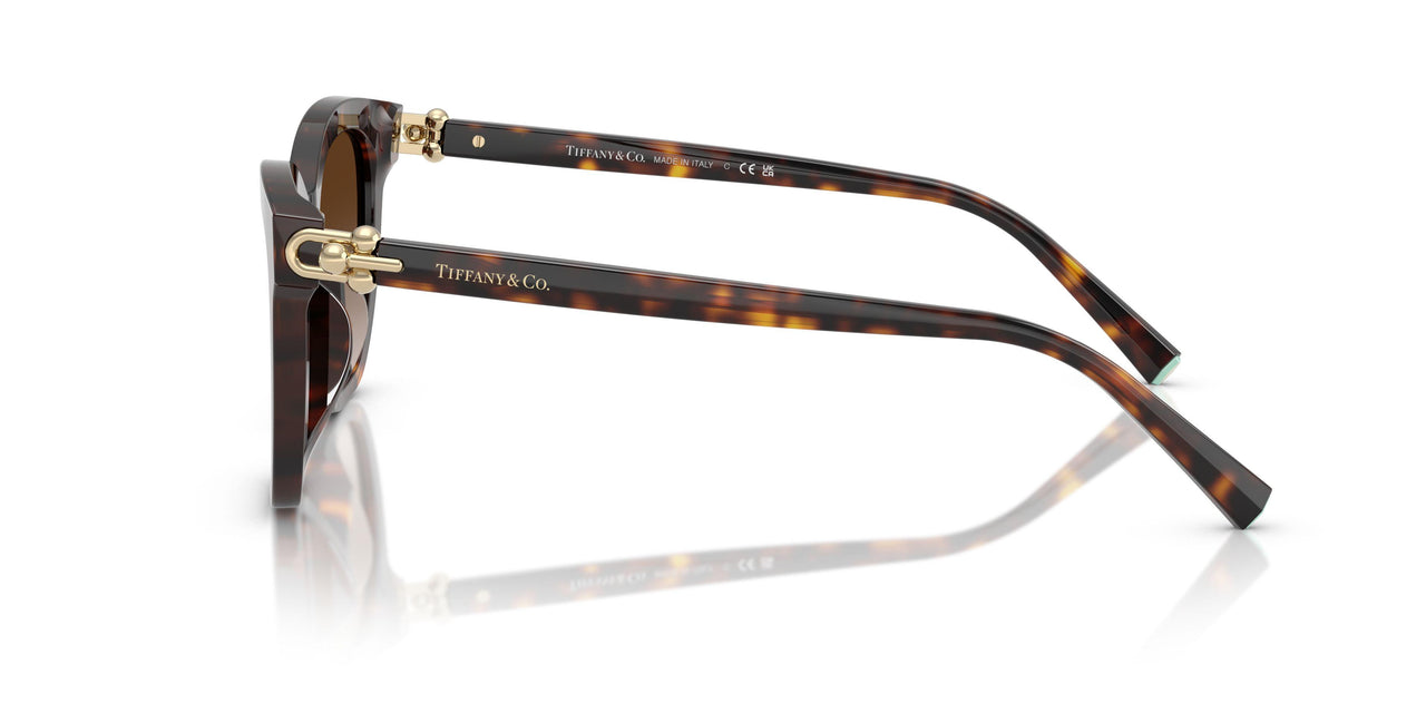 80153B - Tortoise - Brown Gradient