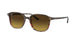 Ray-Ban Leonard 2193 Sunglasses