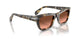 1071A5 - Tortoise - Pink Gradient Brown