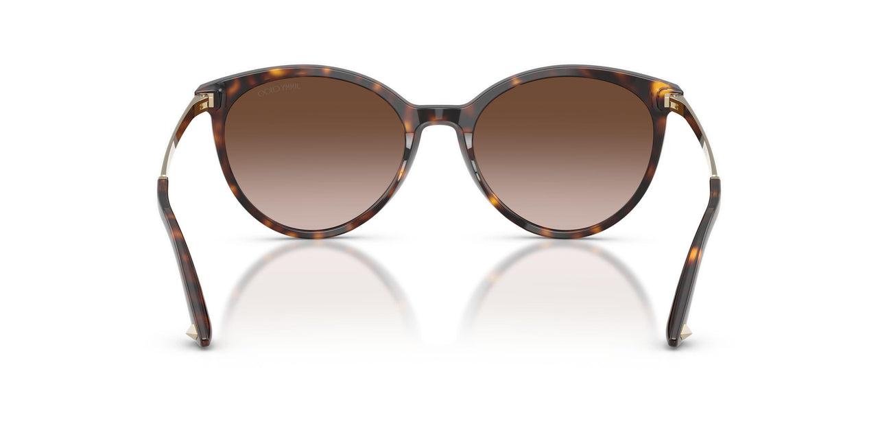 500213 - Tortoise - Gradient Brown