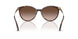 500213 - Tortoise - Gradient Brown