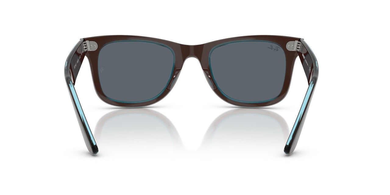 1446R5 - Brown - Blue