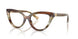 3446 - Brown