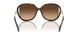 512074 - Tortoise - Brown Gradient