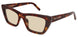 064 - Havana - Brown