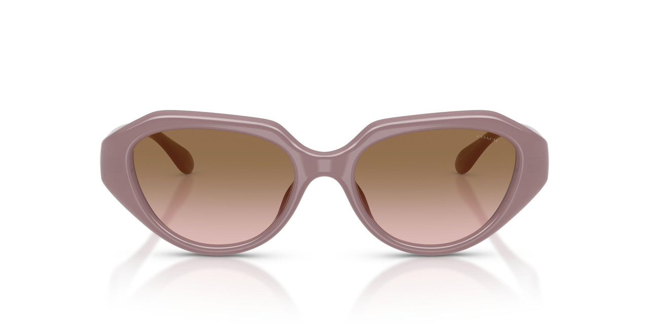 549511 - Brown - Brown Peach Gradient
