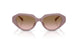 549511 - Brown - Brown Peach Gradient
