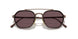 8016AF - Brown - Dark Violet Polar + Ar
