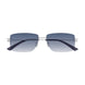 005 - Silver - Blue