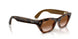 690513 - Tortoise - Gradient Brown
