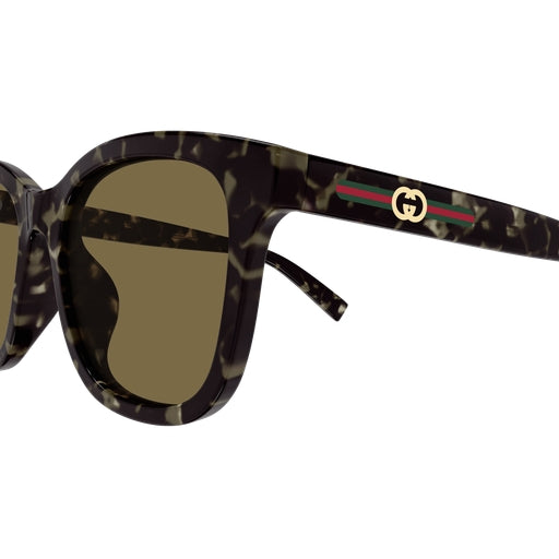 003 - Havana - Brown