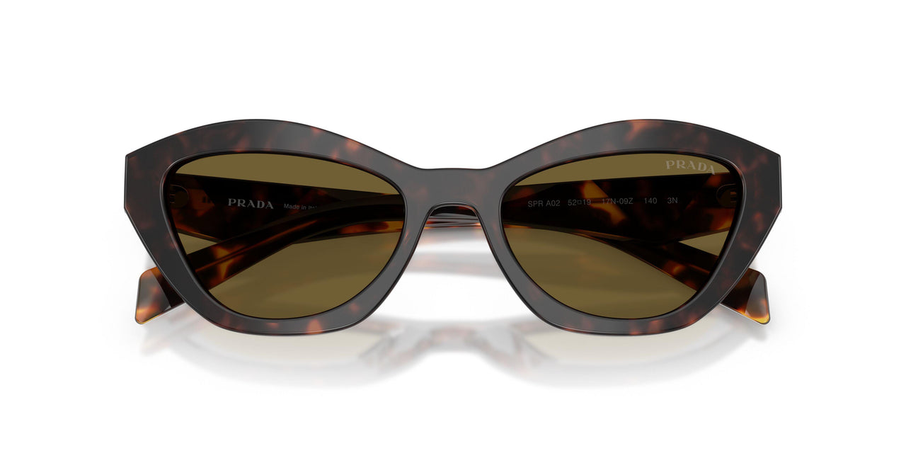 17N09Z - Tortoise - Dark Brown