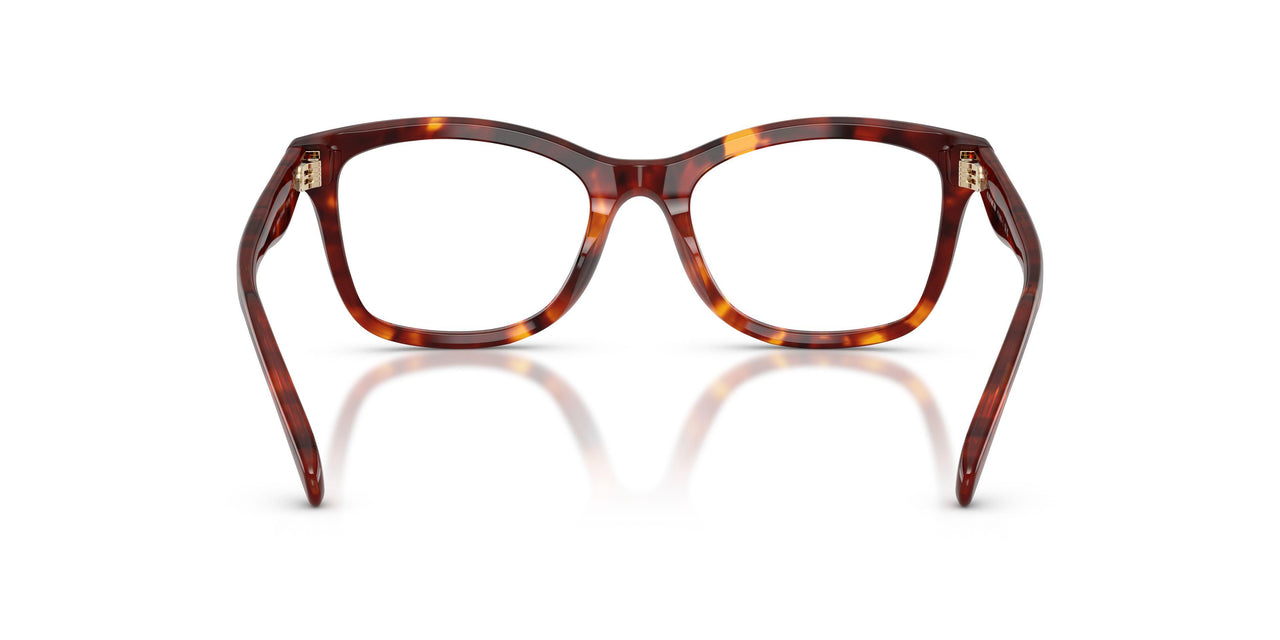 5938 - Tortoise