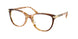 Coach 6220F Eyeglasses