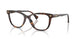5003 - Tortoise