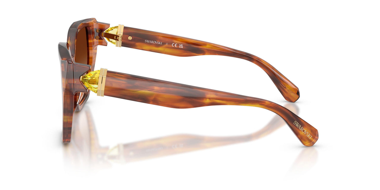 109174 - Tortoise - Brown Gradient