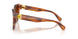 109174 - Tortoise - Brown Gradient