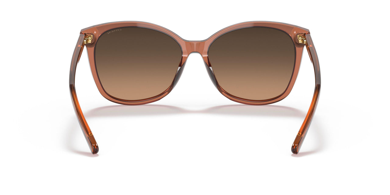 5662G9 - Brown - Brown Gradient