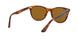 954/33 - Havana - Brown