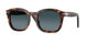 24/S3 - Tortoise - Light Blue Gradient Dark Blue